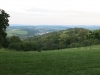 IMG_8012_w