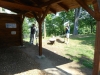 DSCN0713_w.jpg