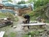 DSCN0730_w.jpg