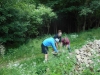 DSCN2477w