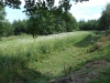 DSCN2605w