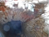 DSCN3179w