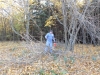 DSCN1395w