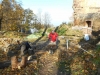 DSCN1397w