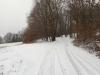 DSCN0148