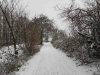 DSCN0149_w