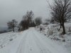 DSCN0150_w