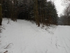 DSCN0152_w