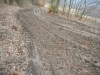 DSCN5580w
