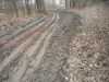 DSCN5581w
