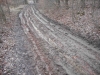 DSCN5582w