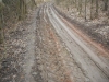 DSCN5583w
