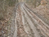 DSCN5584w