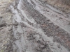 DSCN5587w