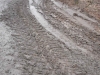 DSCN5588w
