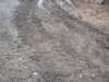 DSCN5589w