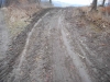 DSCN5590w