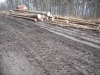 DSCN5591w