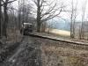 DSCN5603w