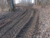 DSCN5615w