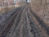 DSCN5616w