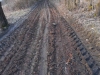 DSCN5618w