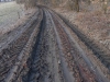 DSCN5619w