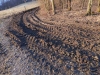 DSCN5621w