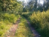 imag0693_w