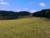 imag0696_w
