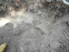 DSCN6935w