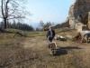 DSCN5682w