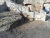 DSCN5687w