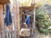 DSCN1334w
