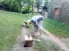 IMG_20230629_164448_6