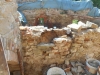 DSCN1023_w.jpg