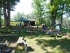 DSCN6138w