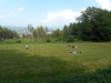 DSCN6176w