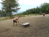 DSCN4165w