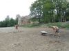 DSCN4166w