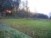 DSCN4622w