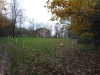 DSCN4674w