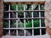 DSC00619_w.jpg