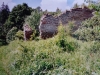 DSC00627_w.jpg