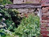 DSC00631_w.jpg