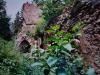 DSC00633_w.jpg