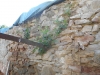 DSCN2353w66