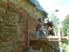 DSCN2378w74