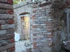 DSCN2439w