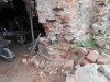 DSCN0029_w
